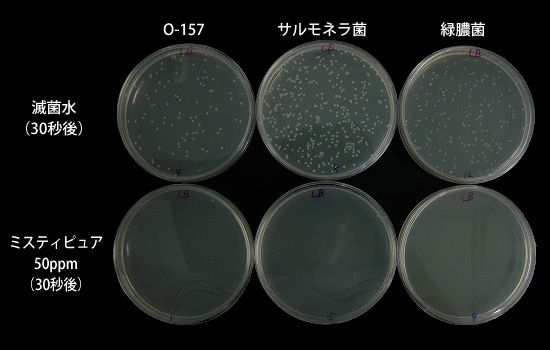 北里大学試験